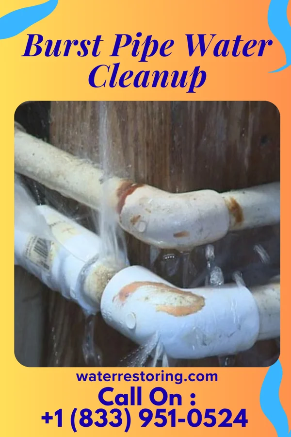 Burst Pipe Water Cleanup in Lorain, OH