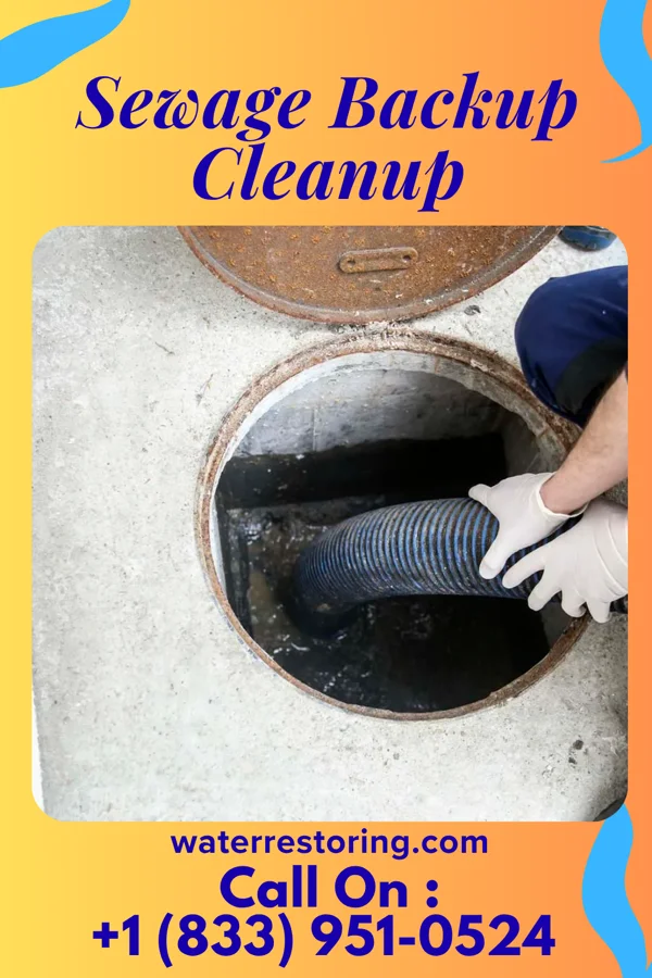 Sewage Backup Cleanup in Lorain, OH